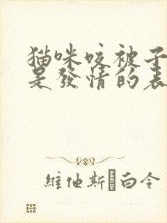 猫咪咬被子踩奶是发情的表现吗