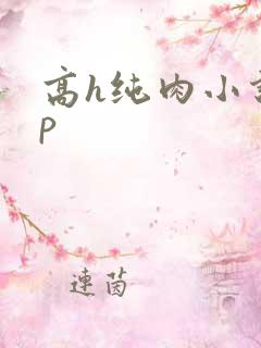 高h纯肉小说np