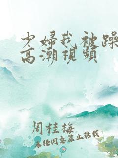 少妇我被躁爽到高潮视频