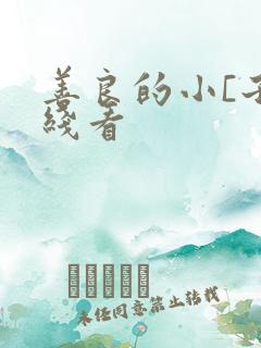 善良的小[子在线看