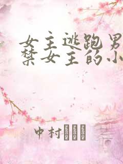 女主逃跑男主囚禁女主的小说