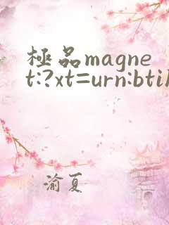 极品magnet:?xt=urn:btih: