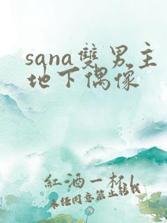 sana双男主地下偶像
