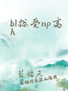 bl总受np高h