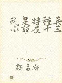 我是特种兵杨洛小说夜十三