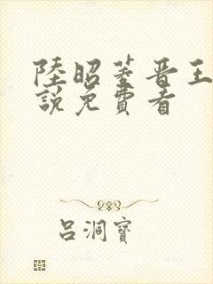 陆昭菱晋王的小说免费看