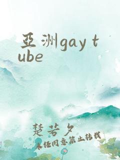 亚洲gay tube