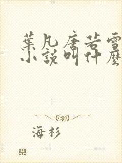 叶凡唐若雪那个小说叫什么呢