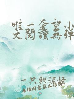 唯一奢望小说全文阅读无弹窗