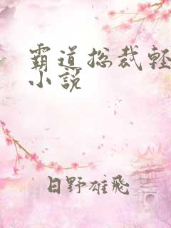 霸道总裁轻点爱小说