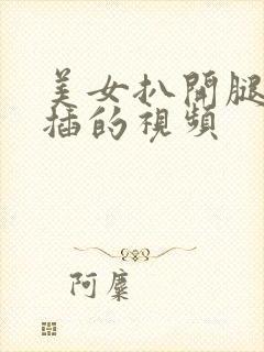 美女扒开腿让人插的视频