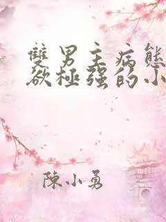 双男主病态占有欲极强的小说