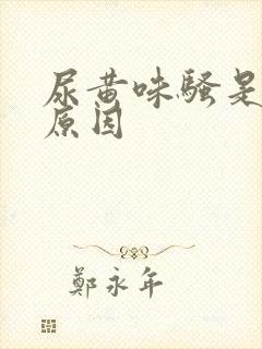 尿黄味骚是什么原因