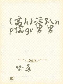 (高h)淫趴np伦gv男男