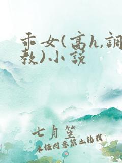 乖女(高h,调教)小说