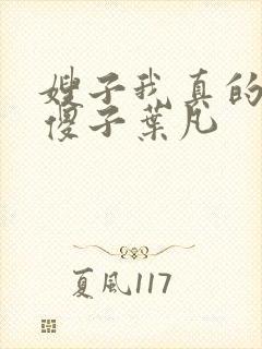 嫂子我真的不是傻子叶凡