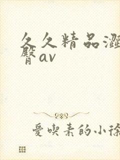 久久精品涩爱蜜臀av