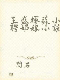 王盛辉苏小薇急聘奶娘小说全文免费