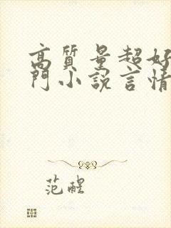 高质量超好看冷门小说言情