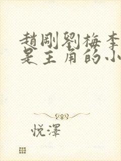 赵刚刘梅李晓雅是主角的小说