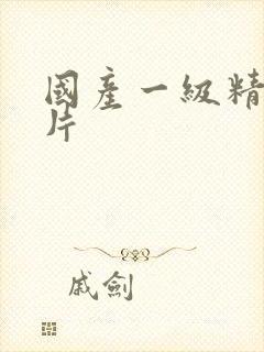 国产一级精品淫片