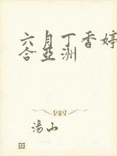 六月丁香婷婷综合亚洲