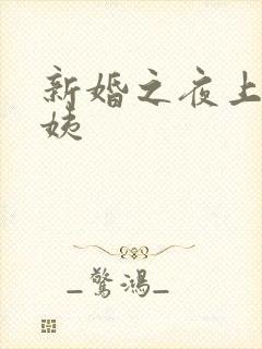 新婚之夜上了小姨