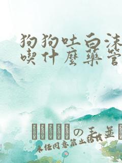 狗狗吐白沫黏液吃什么药管用