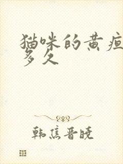 猫咪的黄疸能撑多久