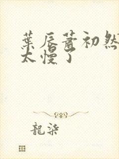 叶辰萧初然更新太慢了