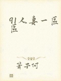 91人妻一区二区