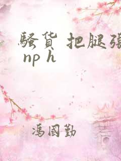骚货 把腿张开 np h