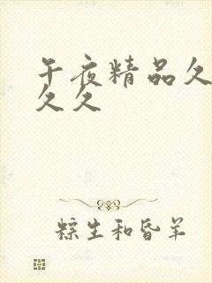 午夜精品久久久久久