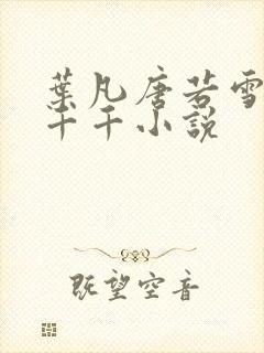 叶凡唐若雪医婿千千小说