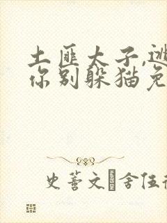 土匪太子,逃妃你别躲猫免费阅读