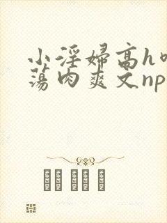 小淫妇高h喷水荡肉爽文np文