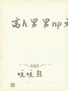 高h男男np文