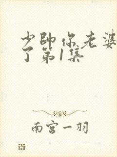 少帅你老婆又跑了第1集