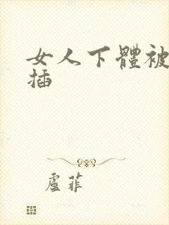 女人下体被男人插