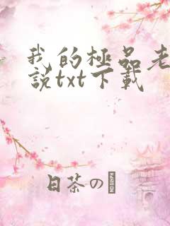 我的极品老婆小说txt下载