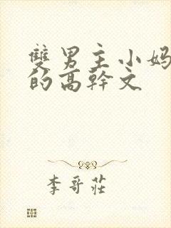 双男主小妈文学的高干文