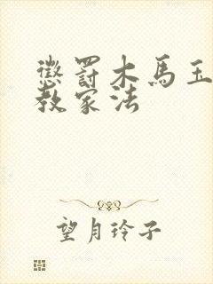 惩罚木马玉势调教家法