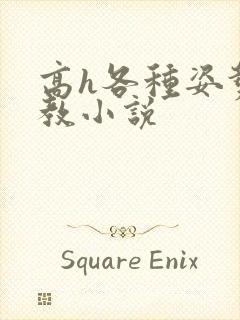 高h各种姿势调教小说