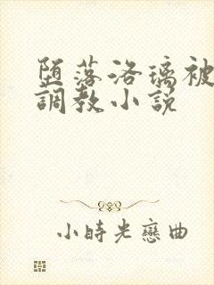 堕落洛璃被乞丐调教小说