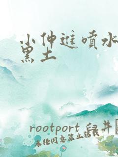 小伸进喷水视频黑土
