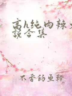 高h纯肉辣文小说合集