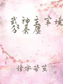 武神主宰境界划分秦尘