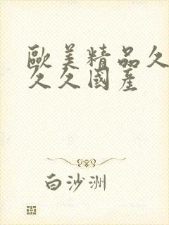 欧美精品久久久久久国产