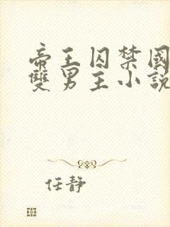 帝王囚禁国师受双男主小说