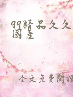 99精品久久久国产